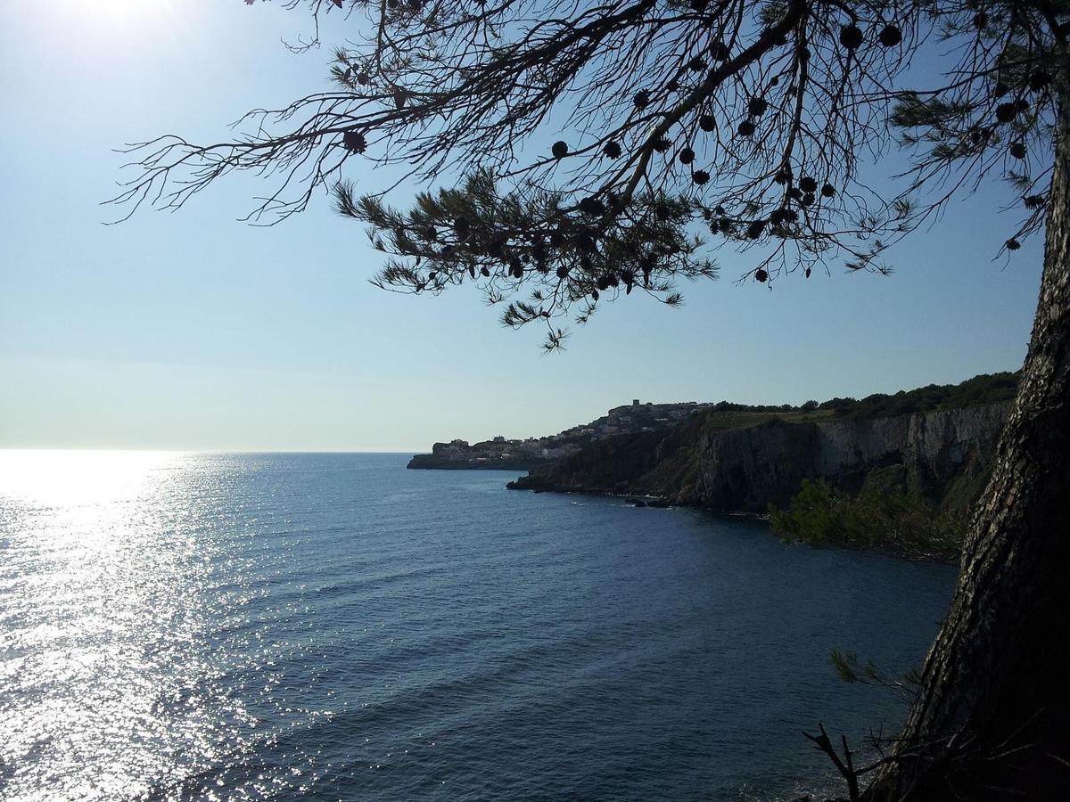 Casas Montgo Park Villa L' Escala Dış mekan fotoğraf